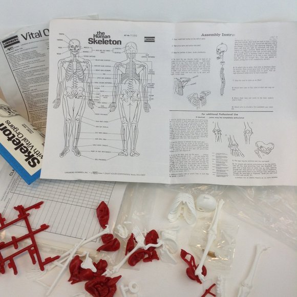 Human Body Science Kit from Educational Insights Kit #EI-2525 Teaching Tool - Picture 4 of 14